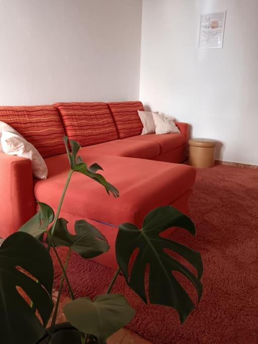 Apartamento Forti Genova-free Parking Castellaccio